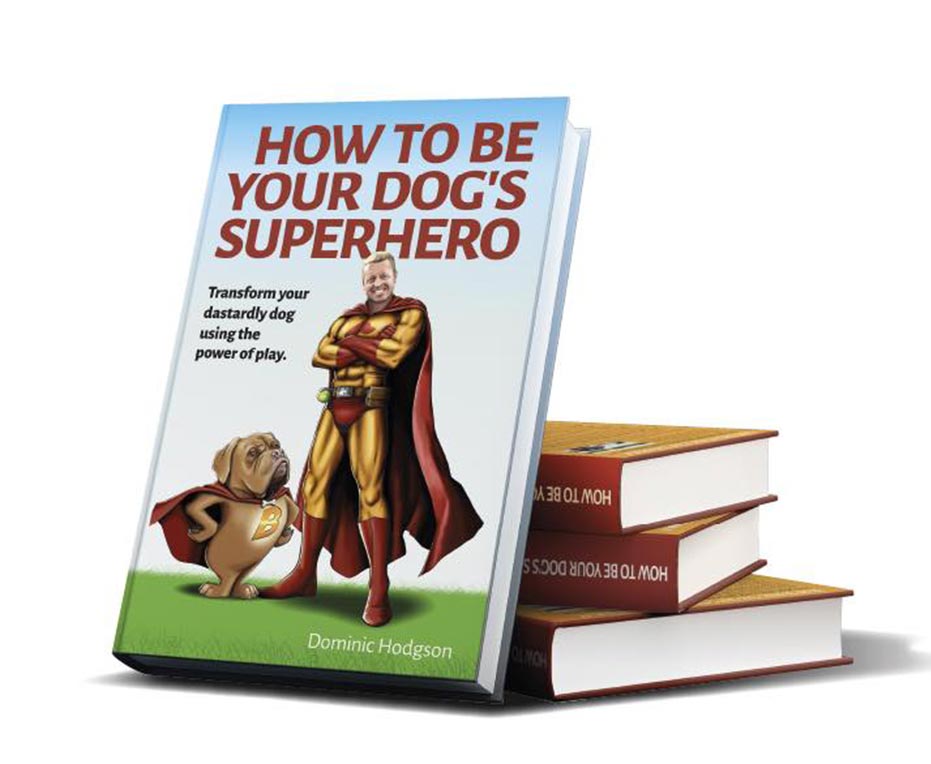 How To Be Your Dog's Superhero