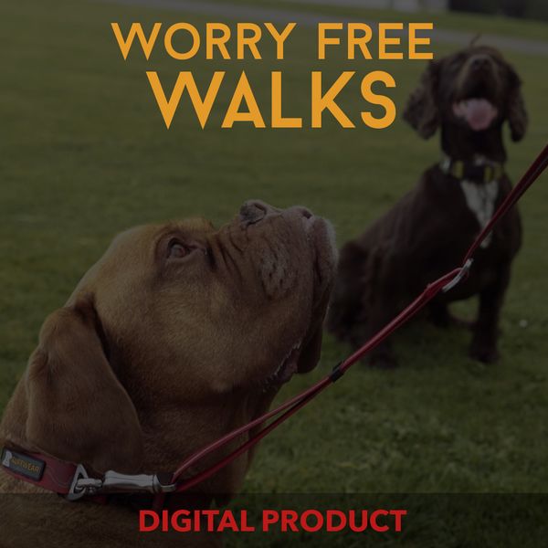 Worry Free Walks