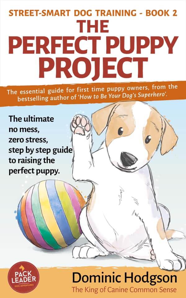 The Perfect Puppy Project